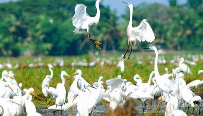 Отель Oceana Hills Residency Alappuzha Экстерьер фото