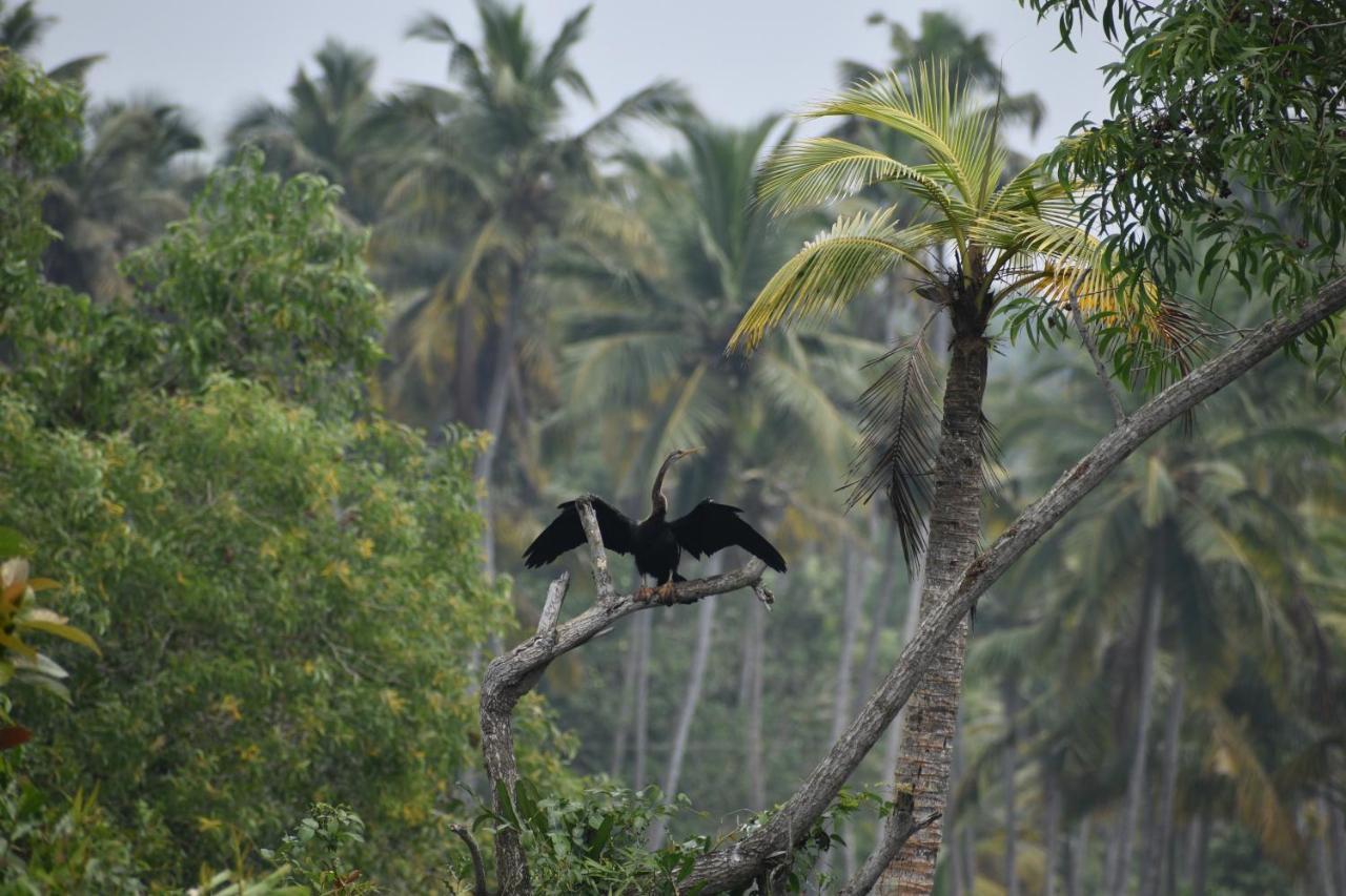 Отель Oceana Hills Residency Alappuzha Экстерьер фото